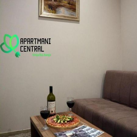 Apartmani Central 2.0 & Free Parking Vrnjačka Banja المظهر الخارجي الصورة
