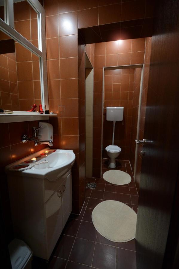 Apartmani Central 2.0 & Free Parking Vrnjačka Banja المظهر الخارجي الصورة